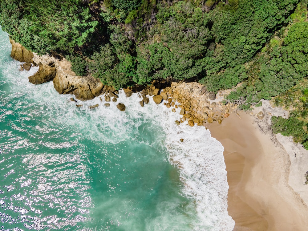 an aerial view of a beach and a forested area