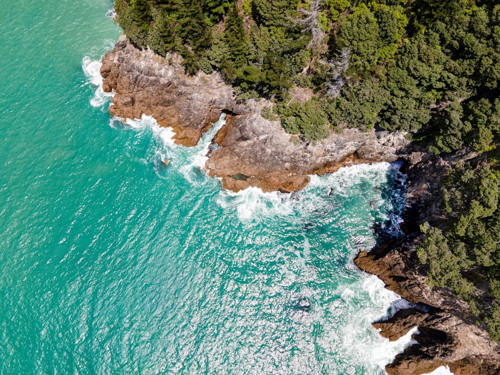 a bird's eye view of the ocean and trees