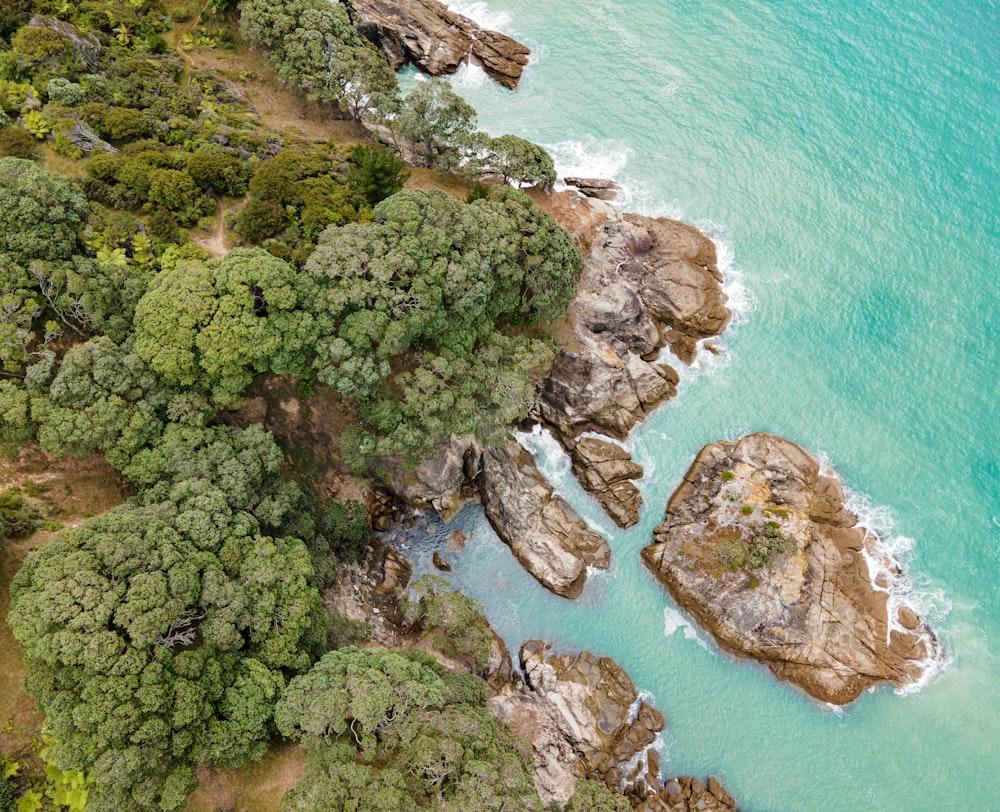 an aerial view of a beach with trees and water