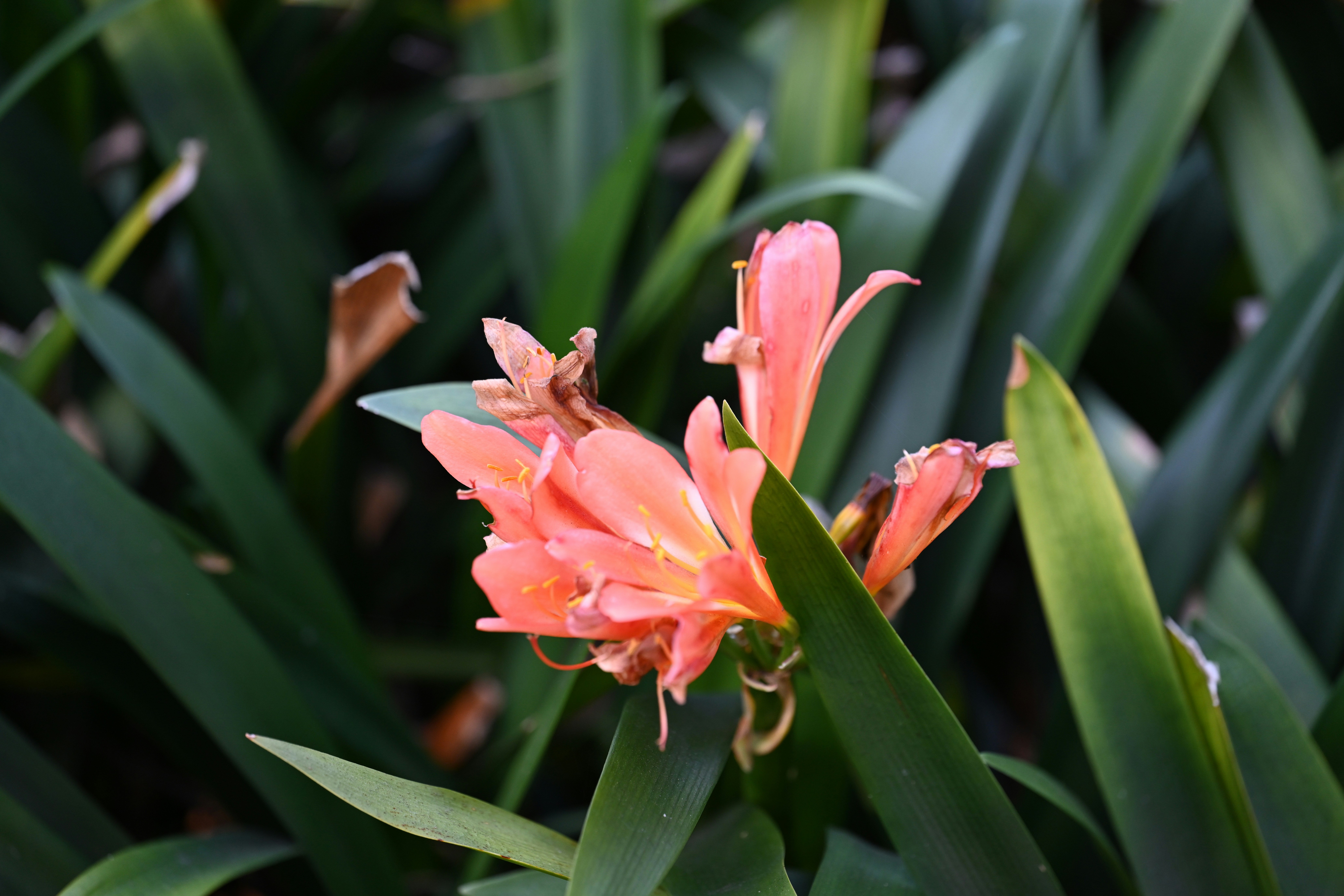 Photo by theunknownaldiaz