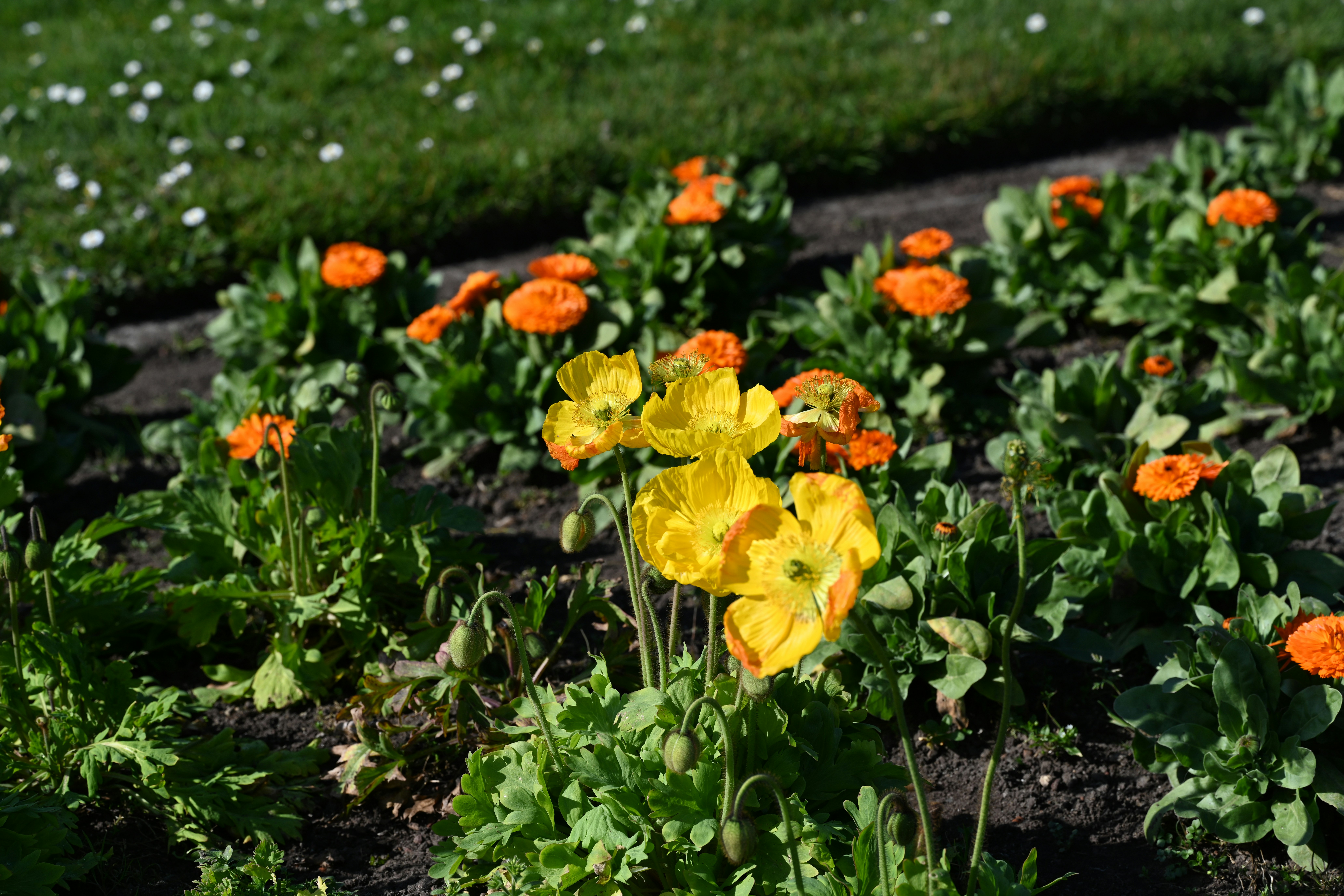 Photo by theunknownaldiaz