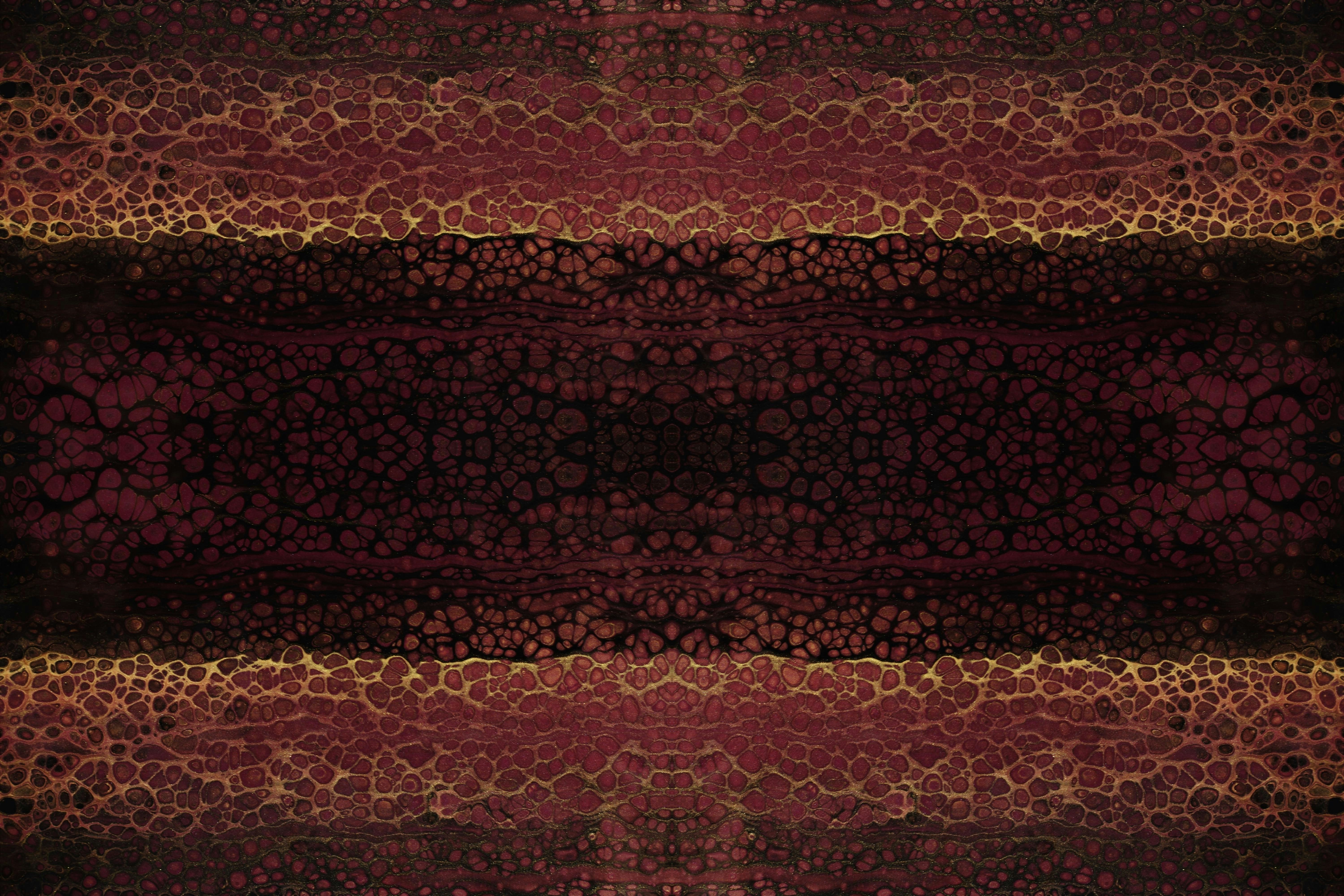 Photo by susan_wilkinson