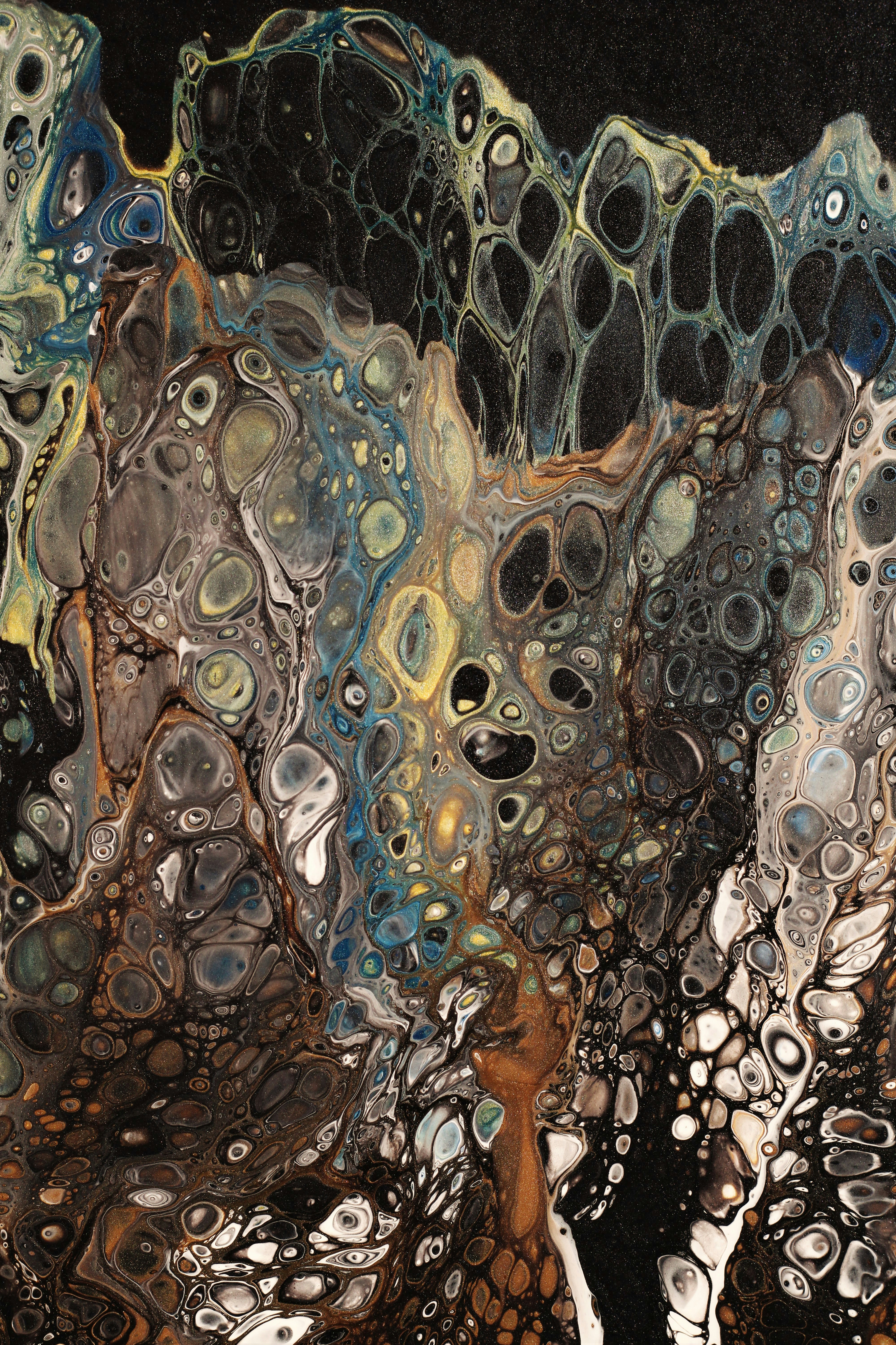 Photo by susan_wilkinson