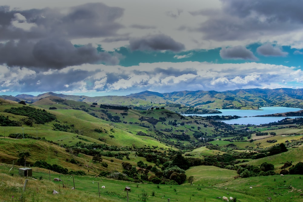 Una collina verde lussureggiante con un lago in lontananza