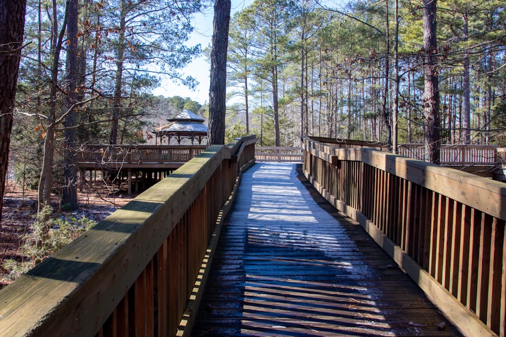 a wooden walkway in the middle of a forest