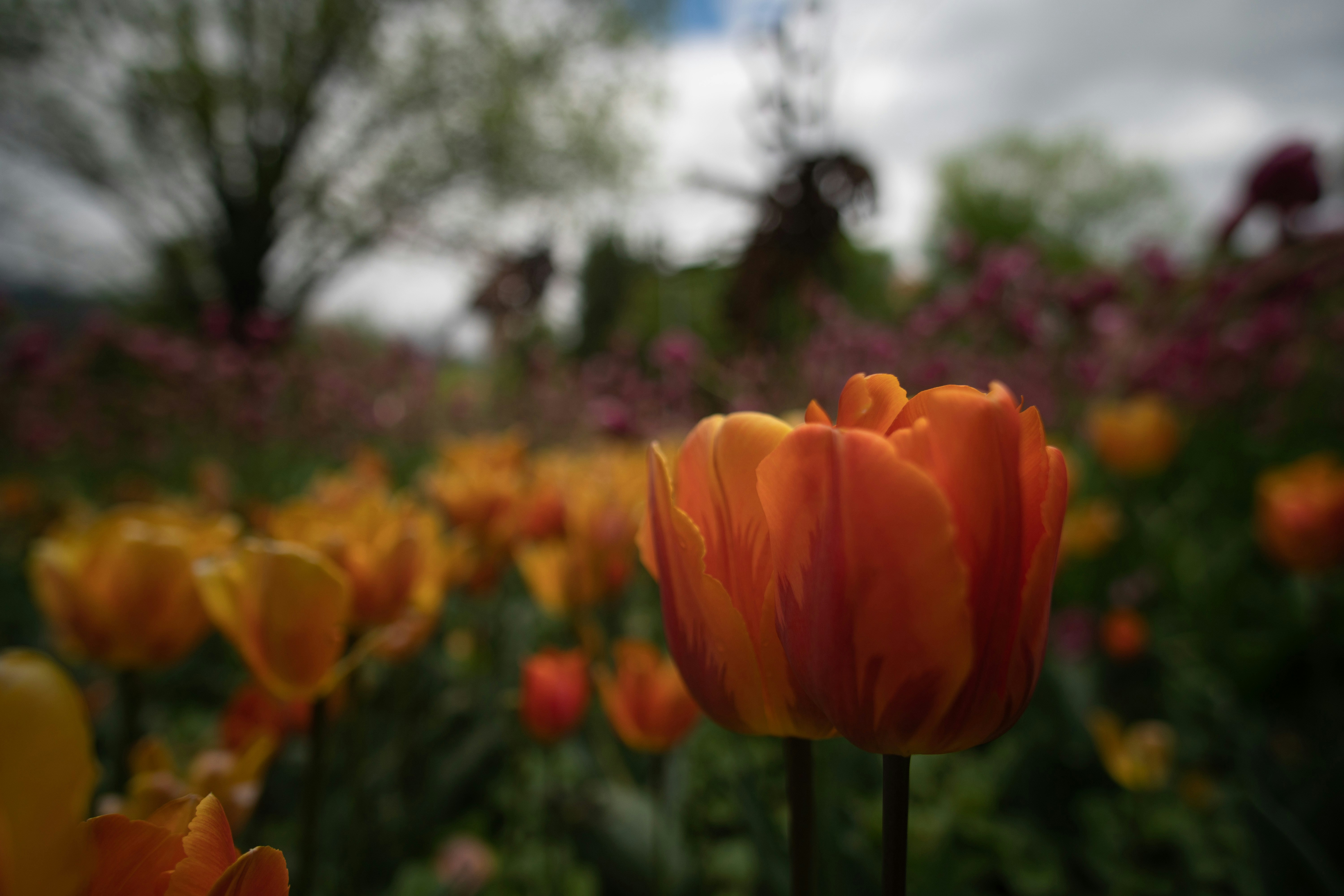 Photo by umbach