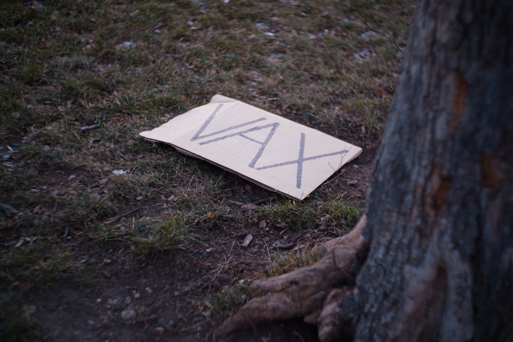 a piece of wood that has been placed on the ground next to a tree