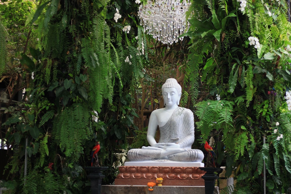 a white buddha statue sitting under a lush green canopy