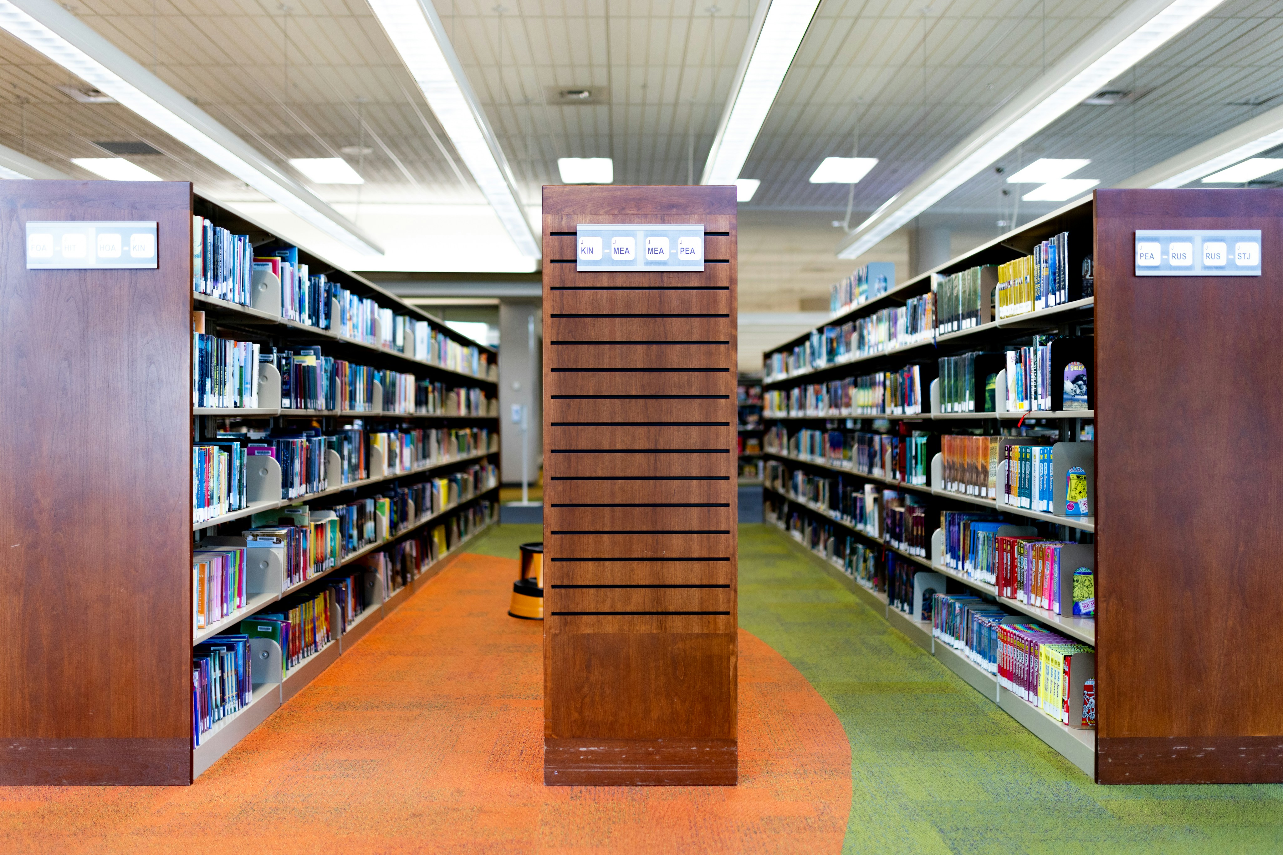 Library bookshelves