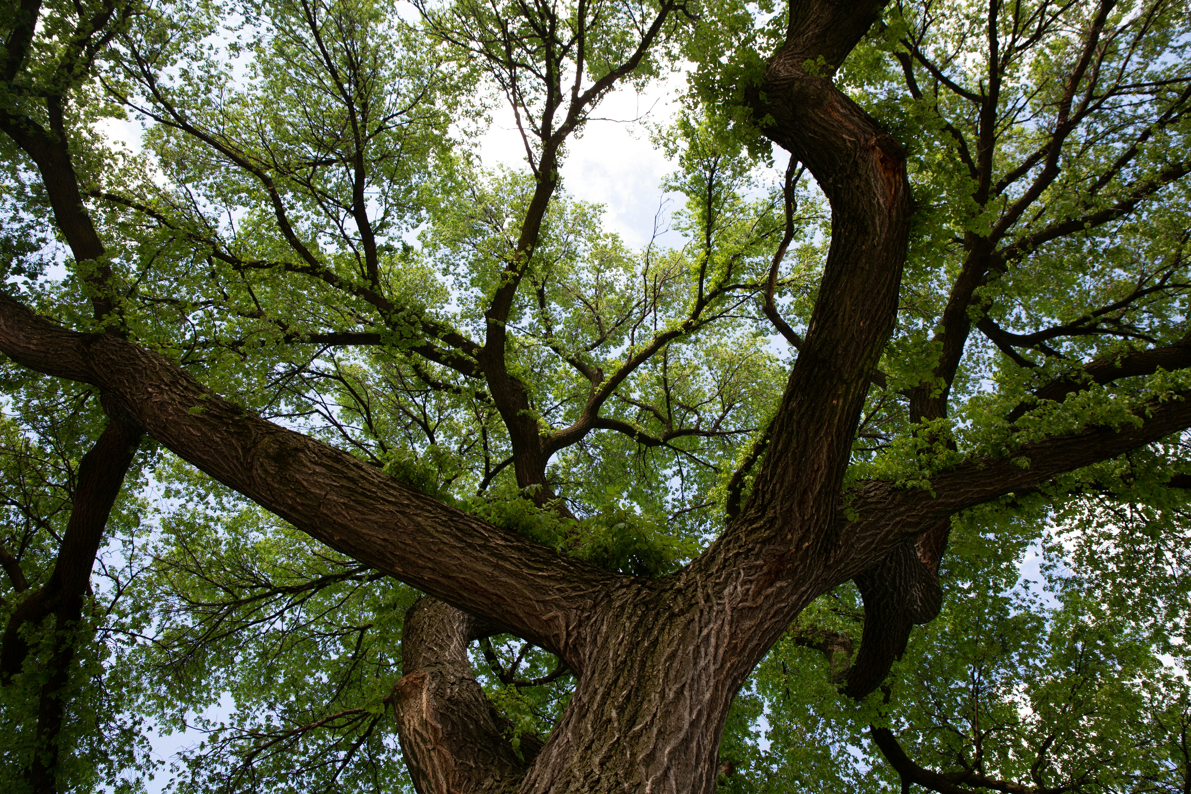 Photo by solenfeyissa