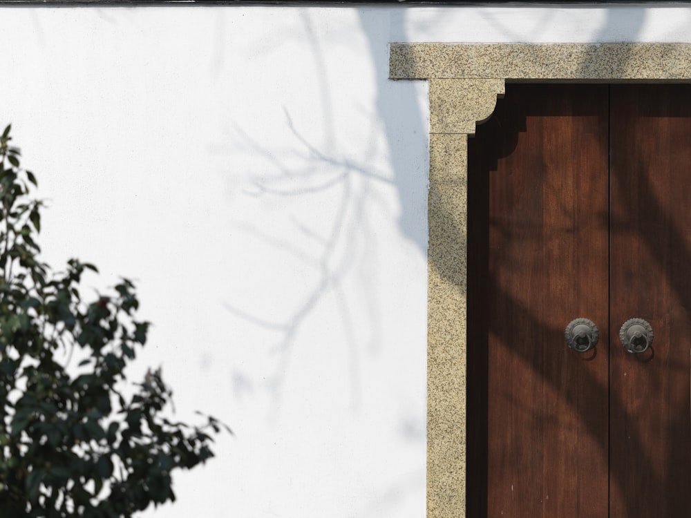 una puerta de madera con dos pomos en una pared blanca