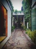 a walkway leading to a building with plants growing on it