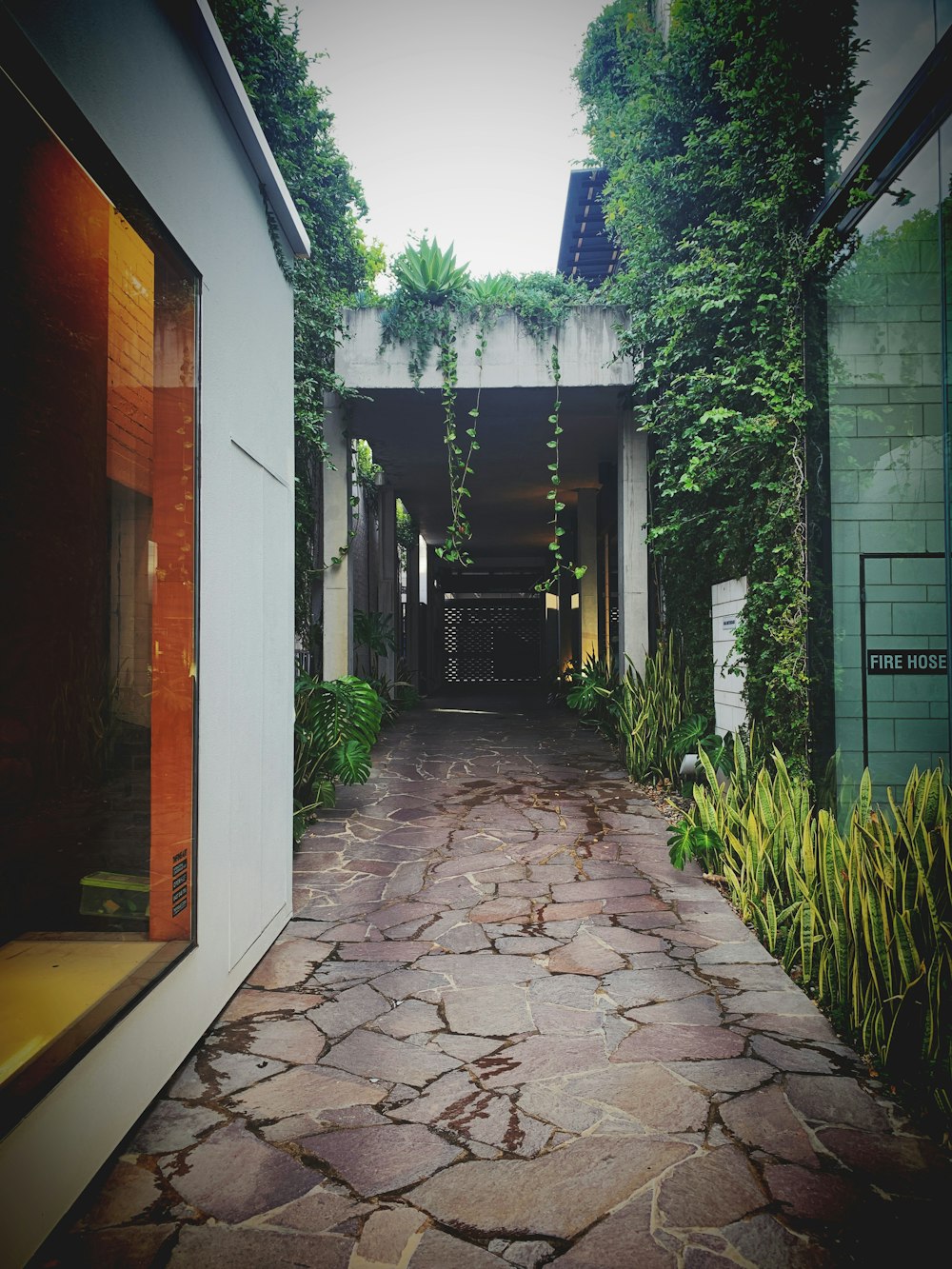 a walkway leading to a building with plants growing on it