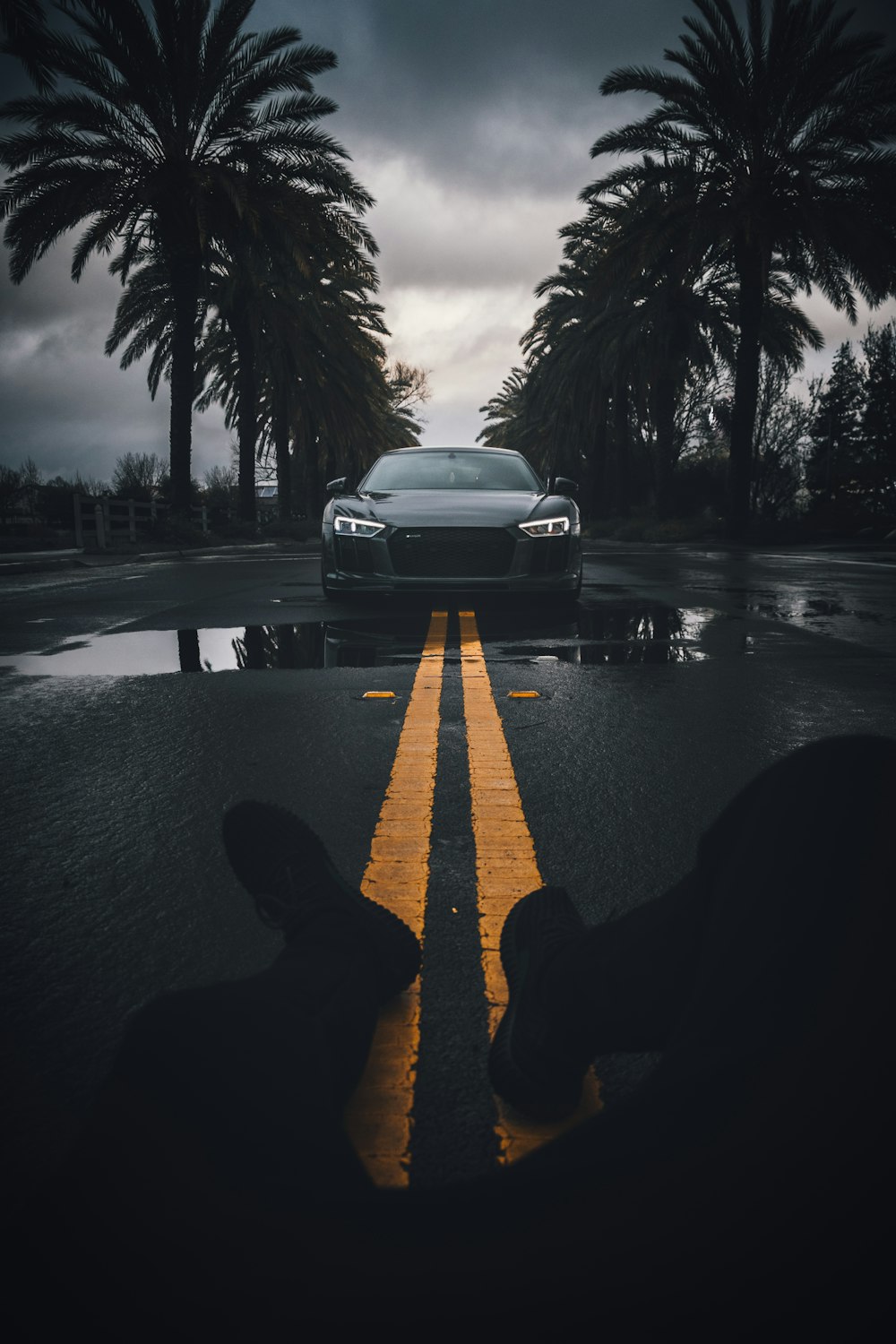 a car driving down a wet road next to palm trees