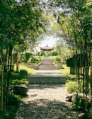 A peaceful outdoor garden space with stone pathways and bamboo, inviting relaxation before or after treatments.