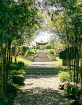 A peaceful garden path leading to the temple site, surrounded by blooming flowers.