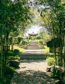 A serene yoga session held in a historic Kamakura temple garden surrounded by bamboo and stone paths.