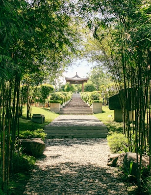 A peaceful outdoor garden space with stone pathways and bamboo, inviting relaxation before or after treatments.