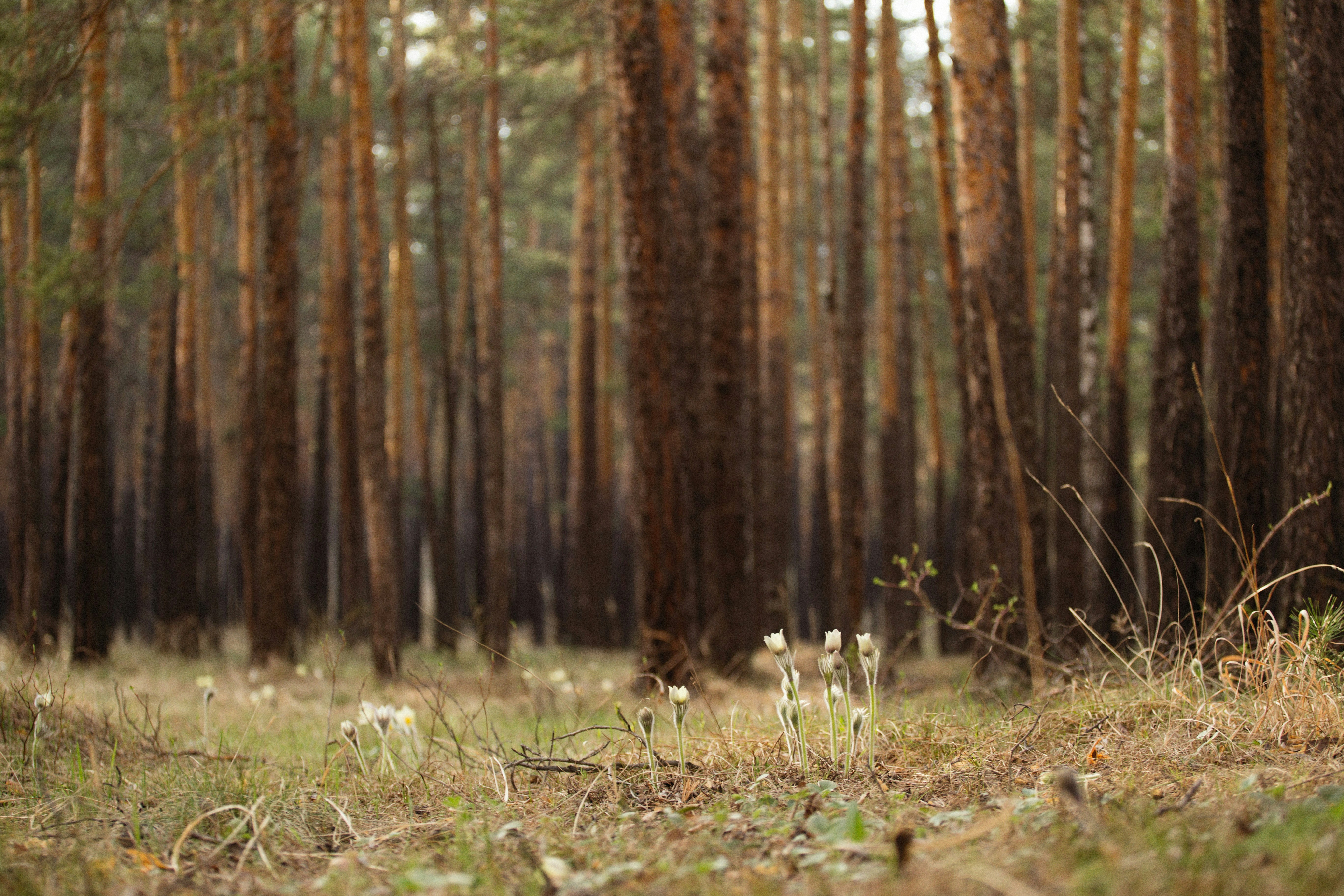 Photo by alexeydemidov