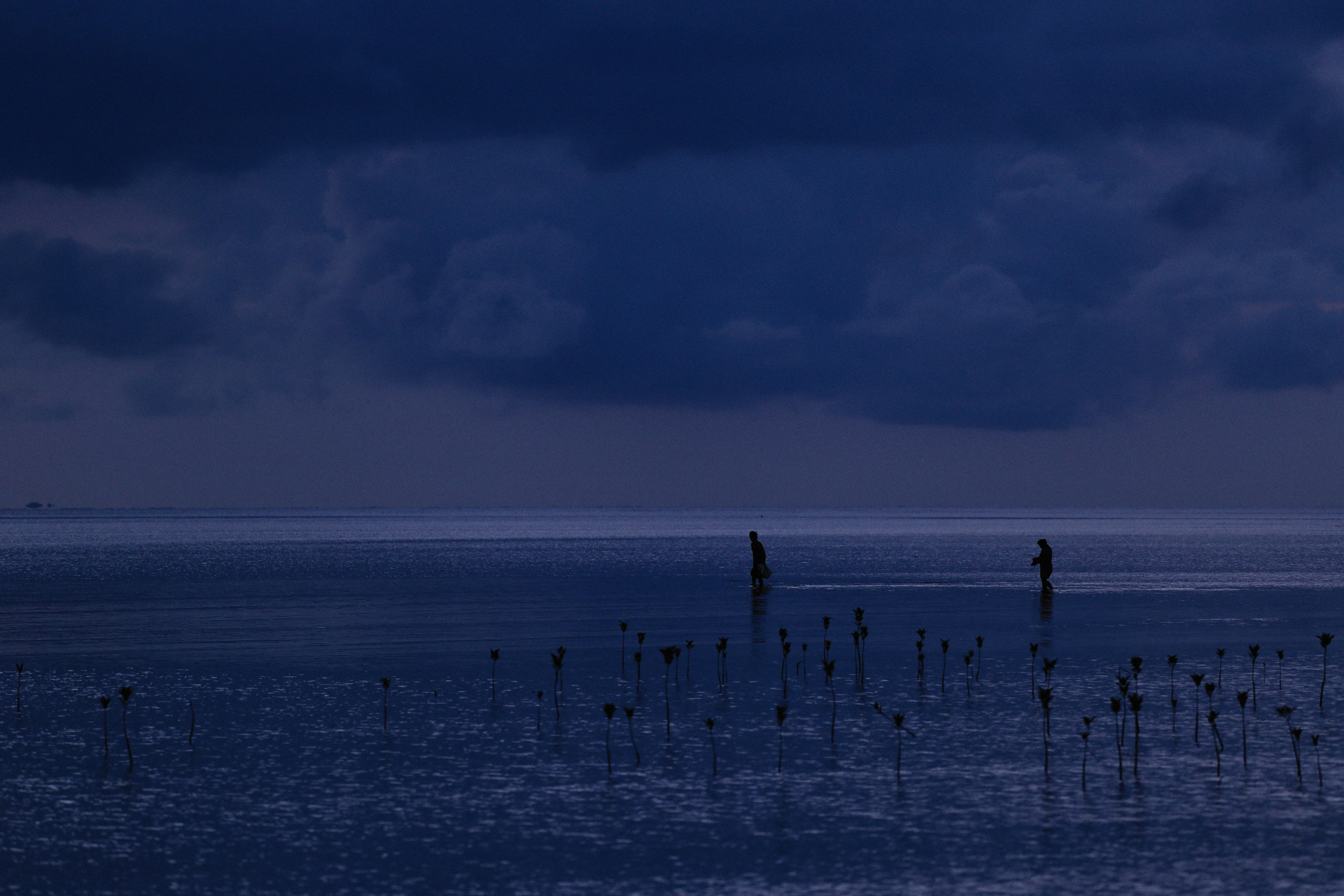 Photo by alexeydemidov