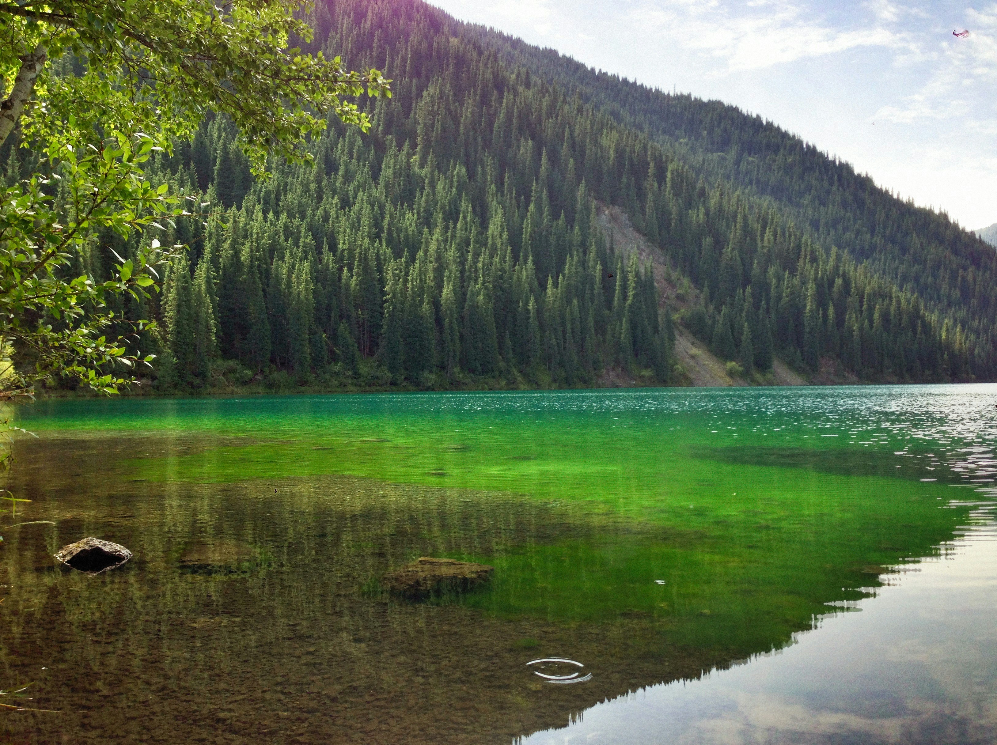 Photo by alexeydemidov