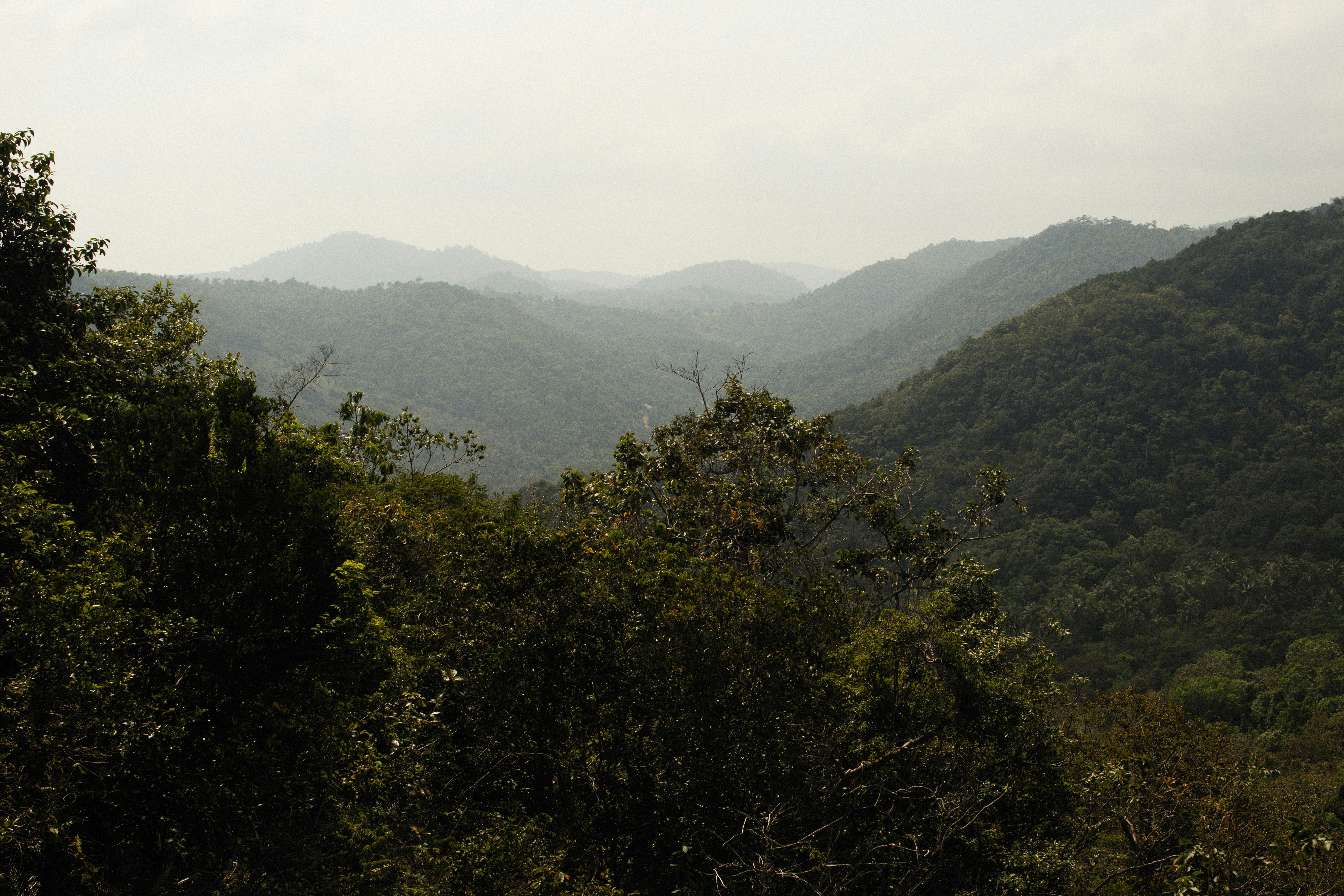 Photo by alexeydemidov