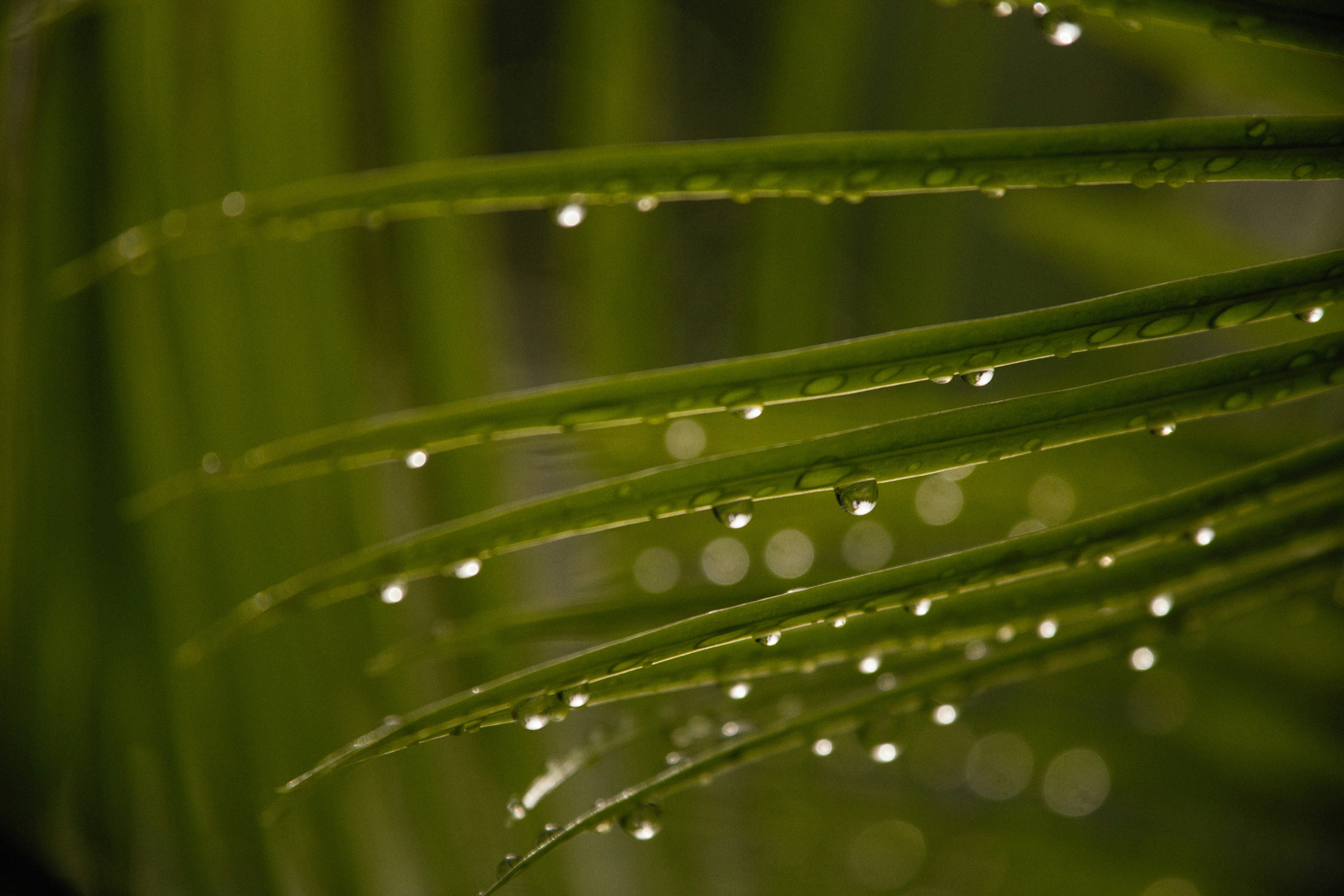 Photo by alexeydemidov