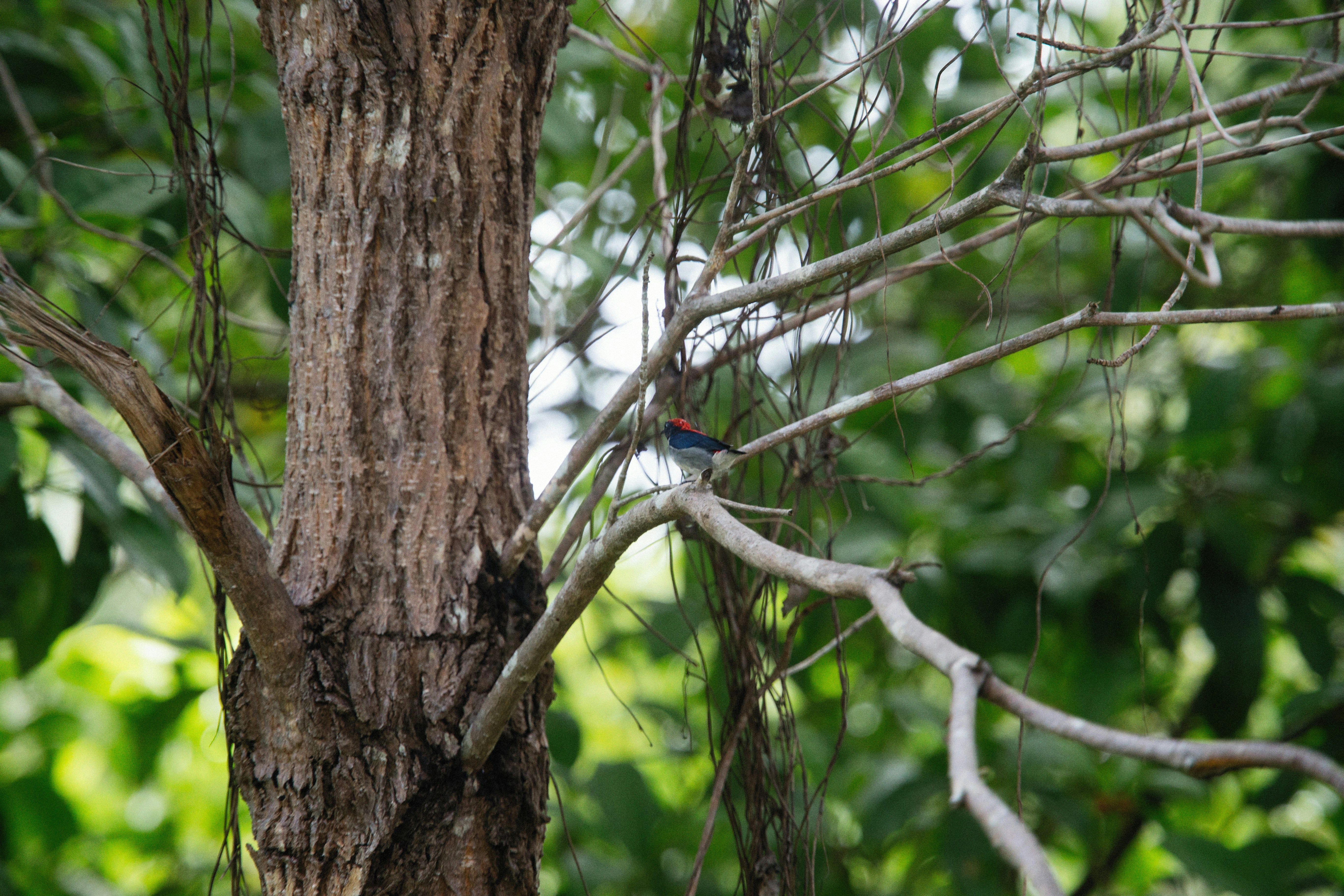 Photo by alexeydemidov