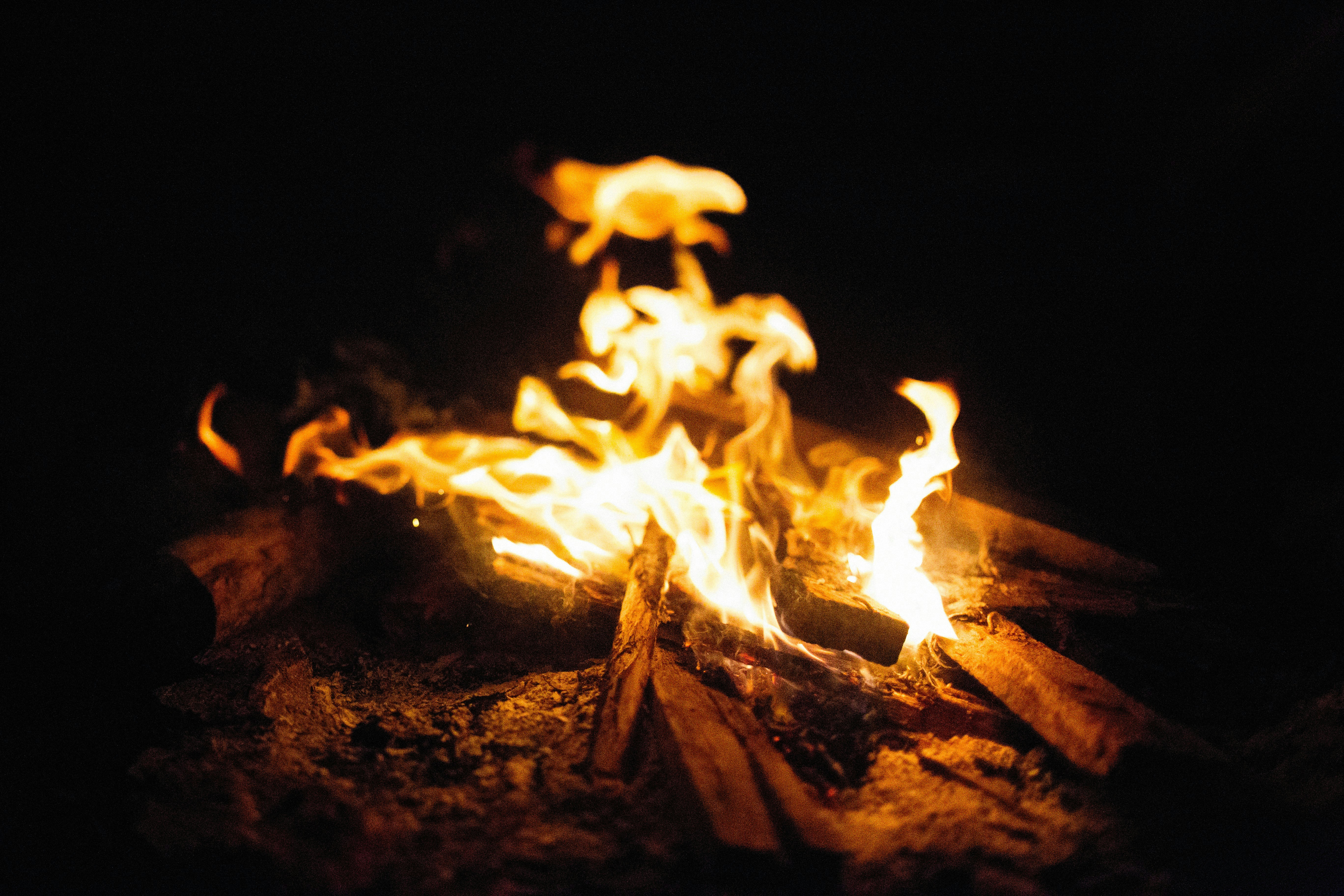 Photo by alexeydemidov