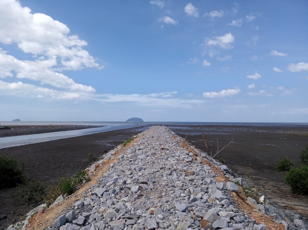 a gravel road with rocks and bushes on the side