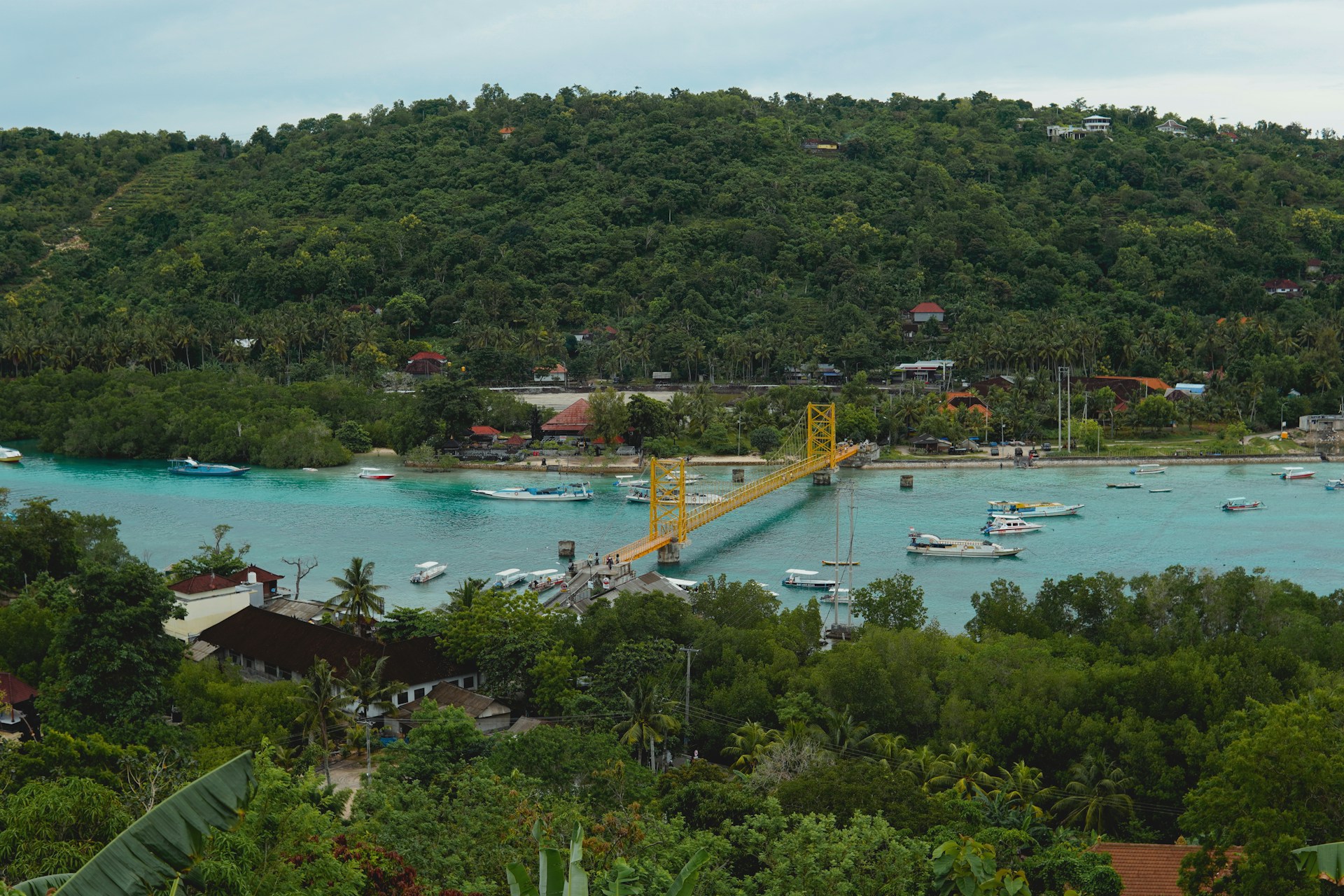 a harbor filled with lots of boats next to a lush green hillside