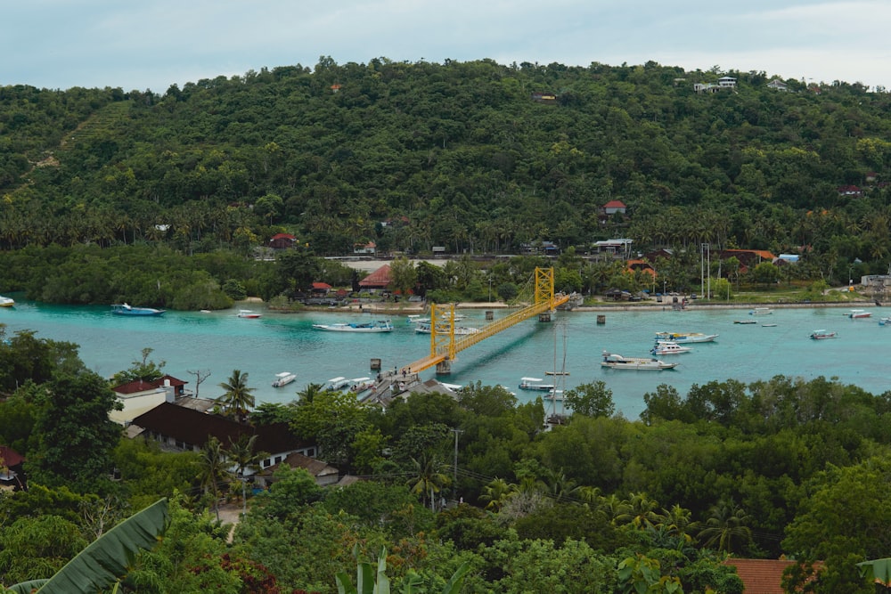 a harbor filled with lots of boats next to a lush green hillside