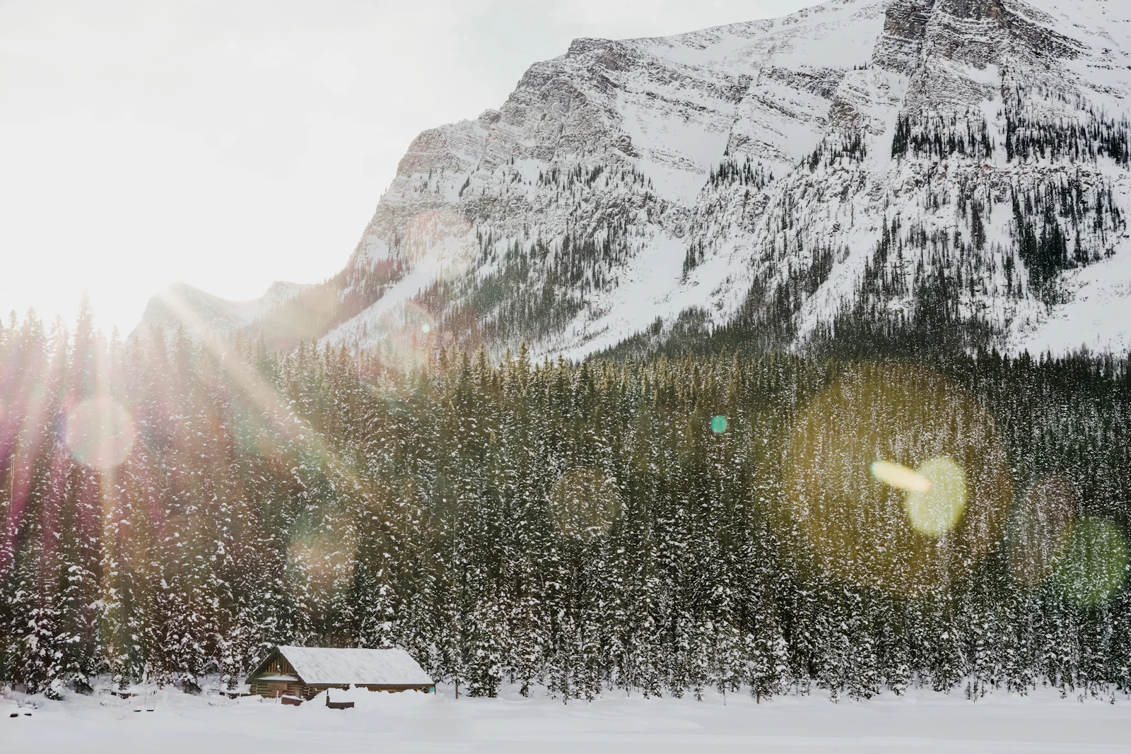 A snow-covered Rocky Mountain rising above a forest with a single small cabin near Lake Louise in Banff Alberta