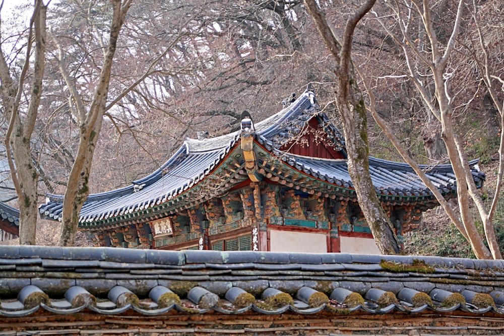 a building in the middle of a forest