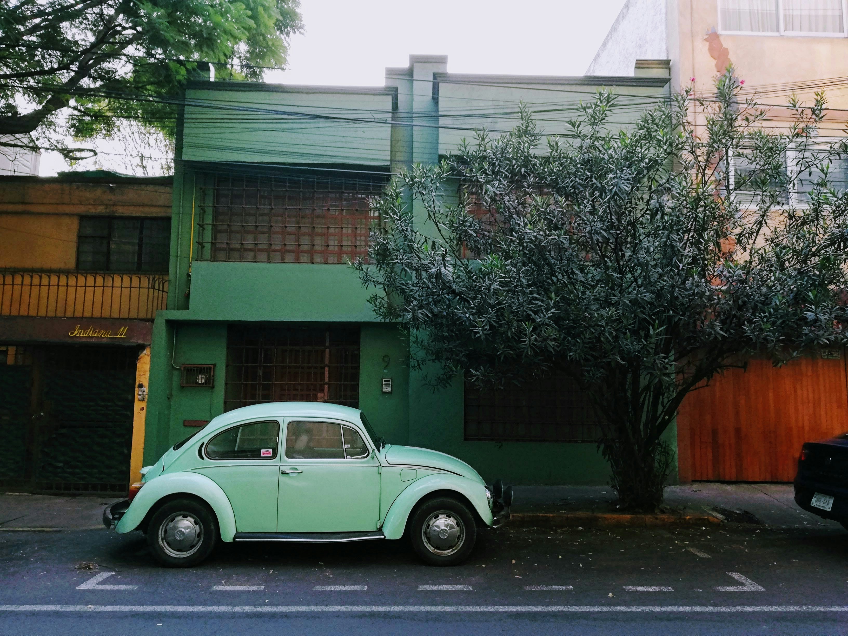 Photo by cristinacerda