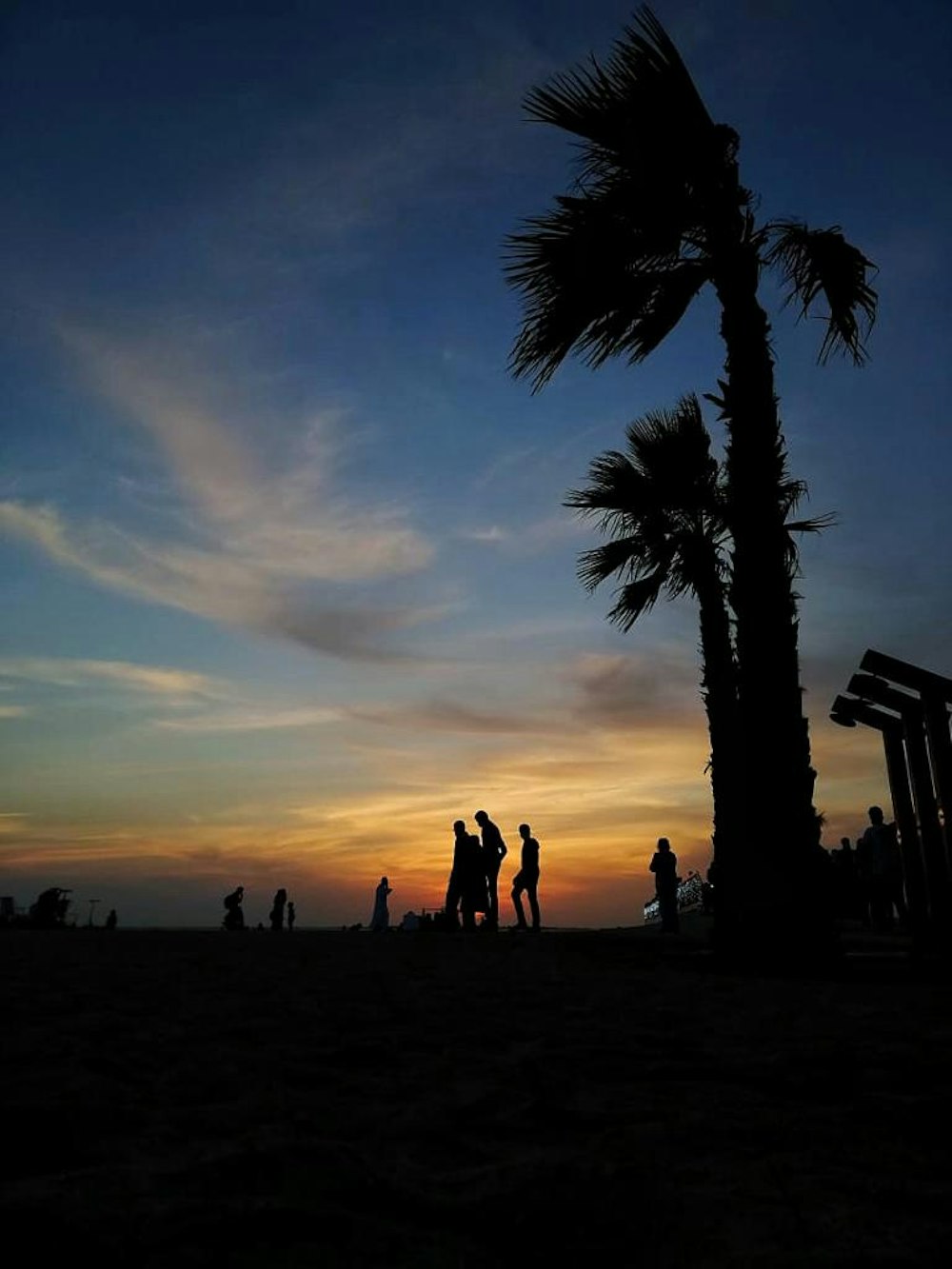 a group of people standing under a palm tree