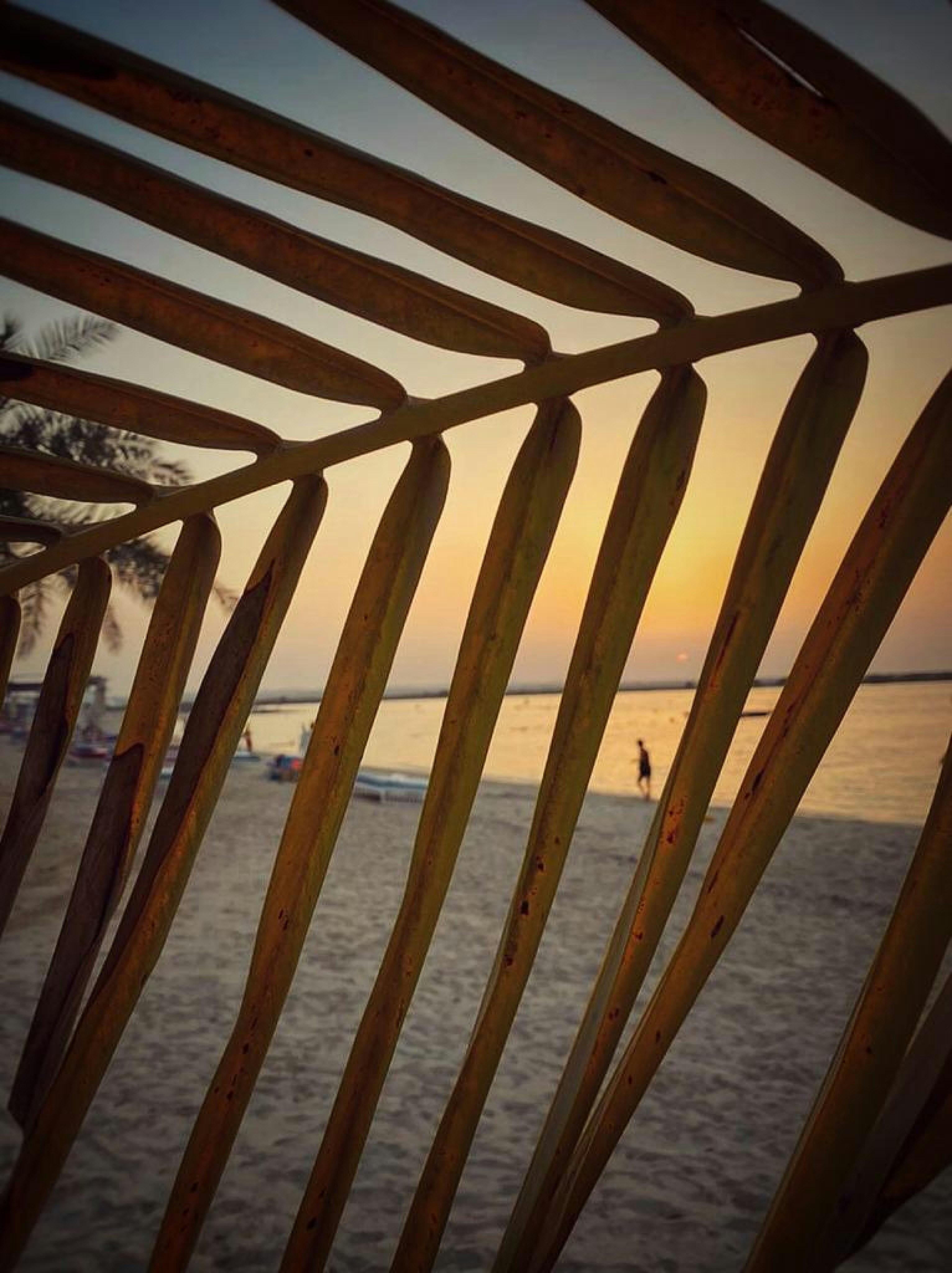 sunset beach wallpaper, wallpaper, Sunset Beach Walk Outfits: Stylish & Comfortable Ideas 5
