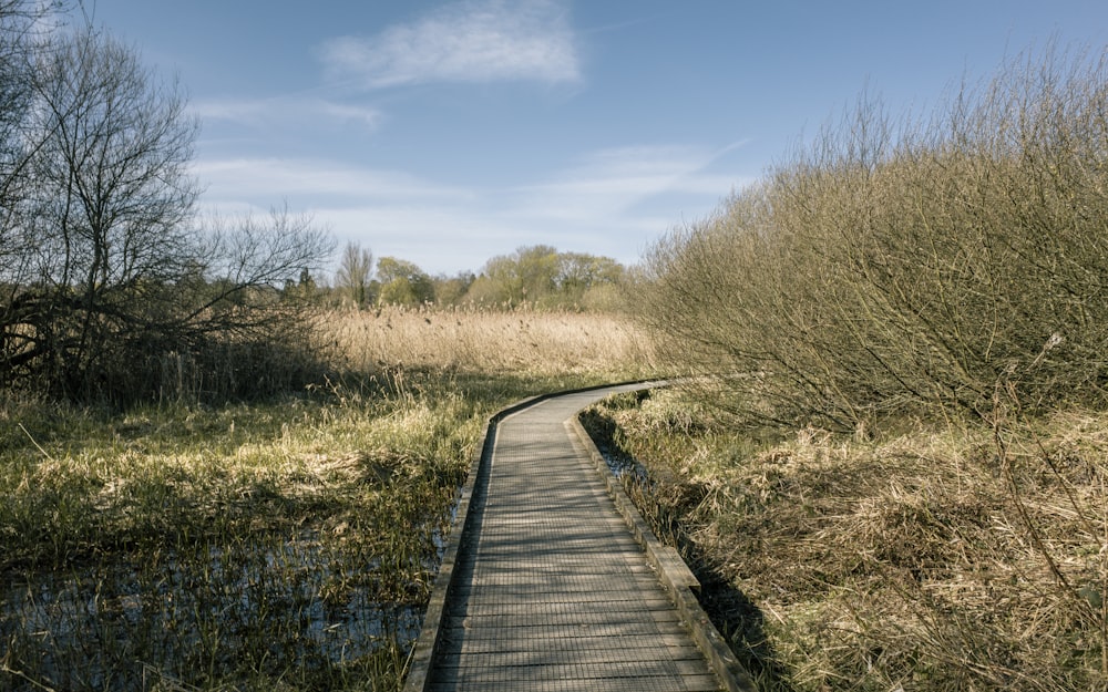 a wooden walkway in the middle of a field