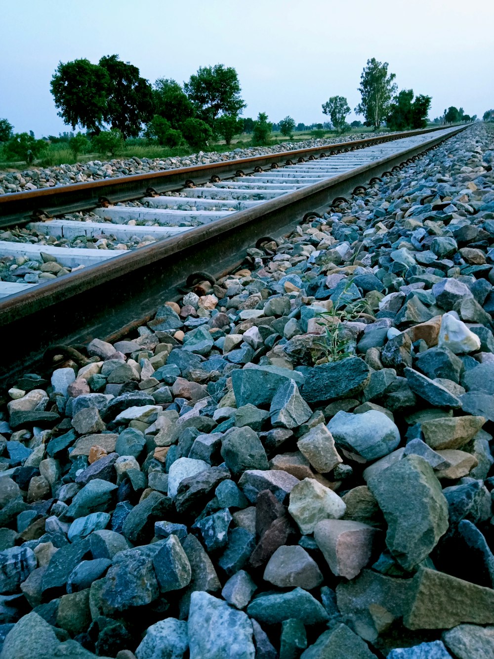 una vía de tren con rocas y hierba al lado