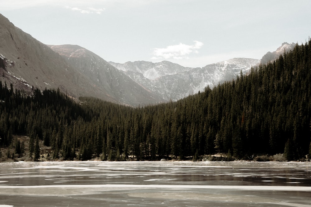 a frozen lake surrounded by mountains and trees