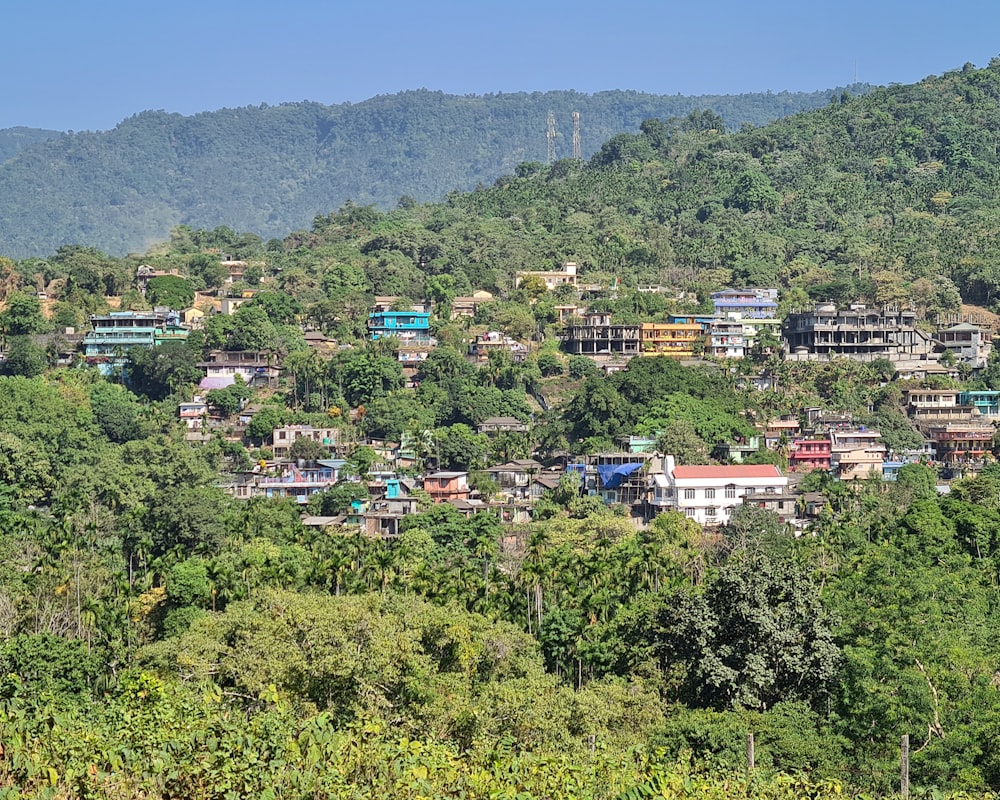 a village nestled on a hillside surrounded by trees