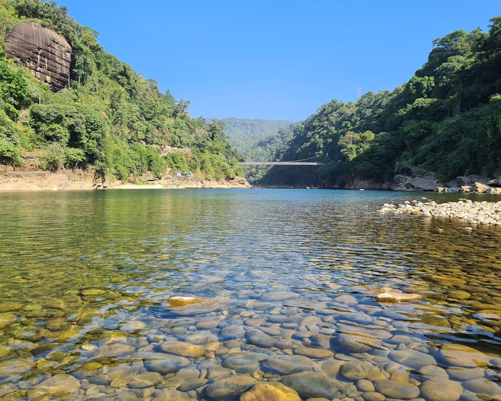 a body of water surrounded by trees and rocks