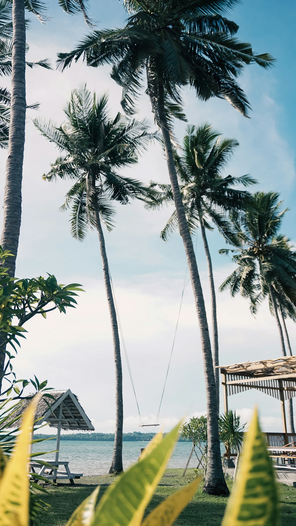 a hammock hanging between two palm trees on a beach