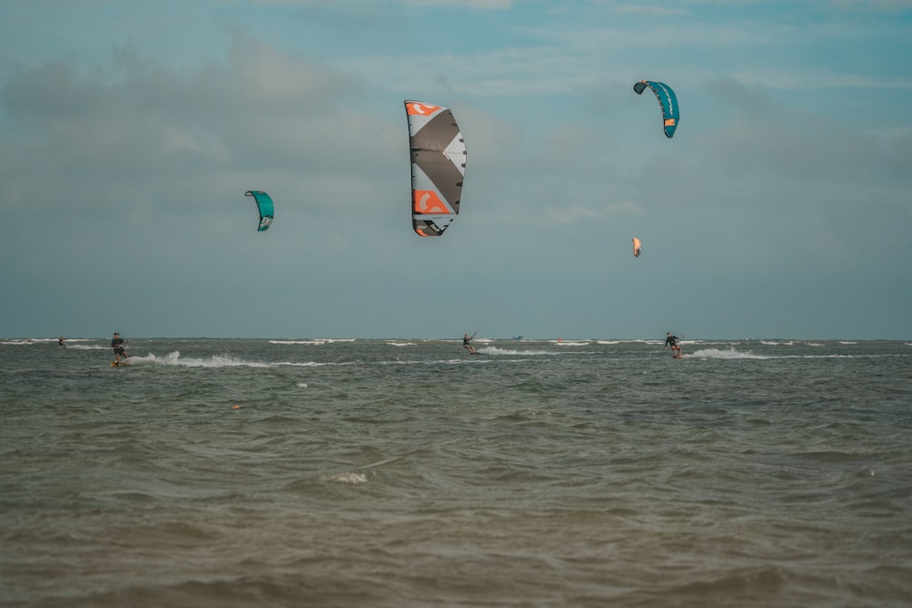 a group of people riding kite boards on top of a body of water