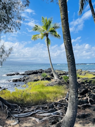 A peaceful coastal scene with black volcanic rocks and gentle waves.