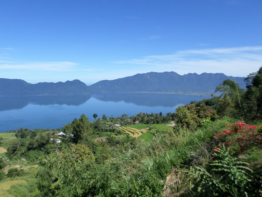 a scenic view of a lake surrounded by mountains