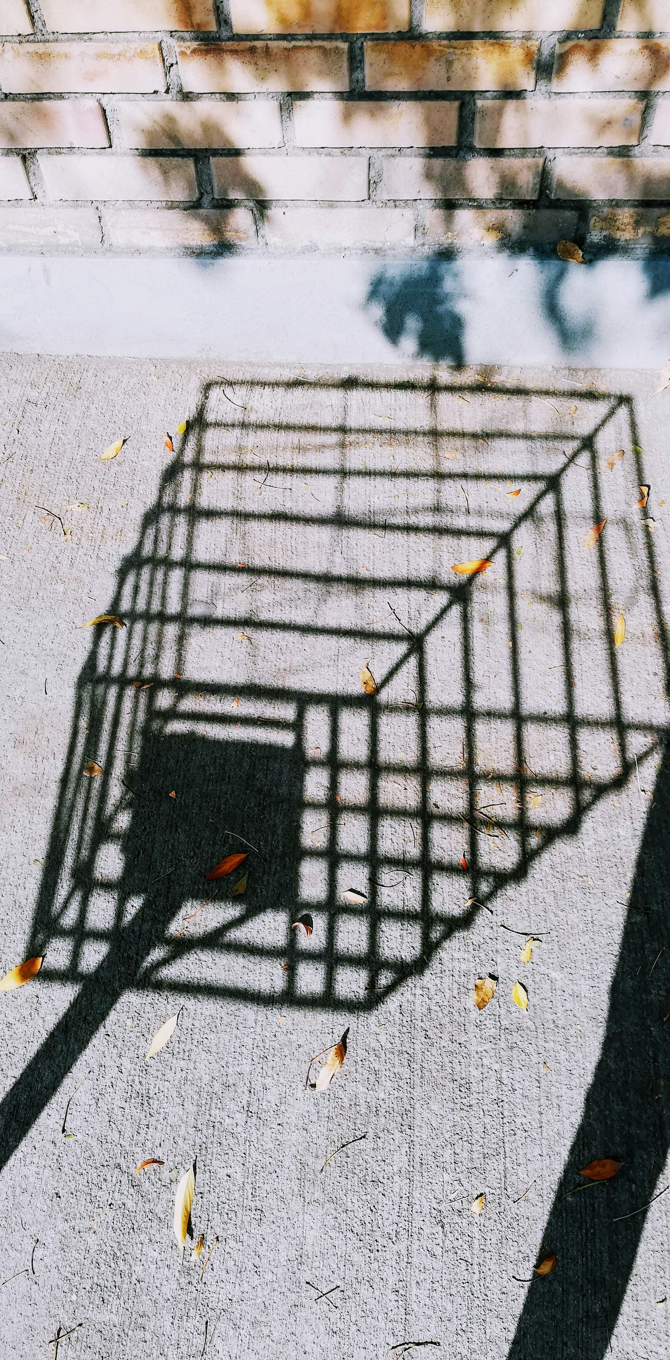 Photo by cristinacerda