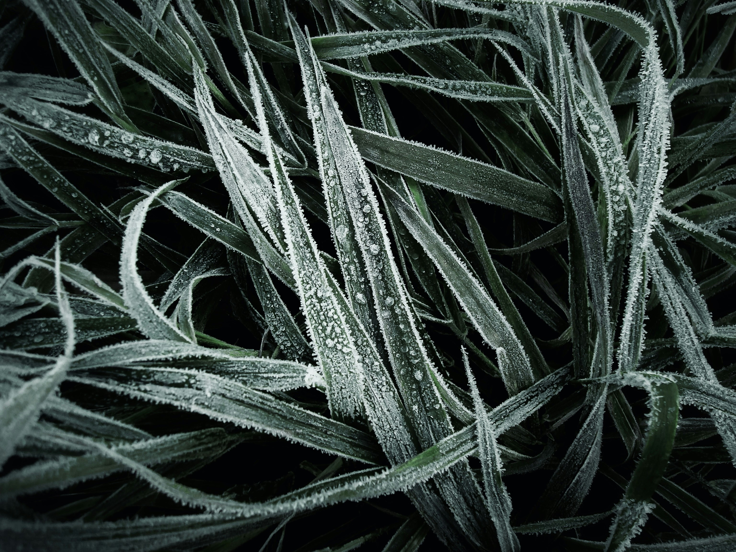 Photo by eugene_golovesov