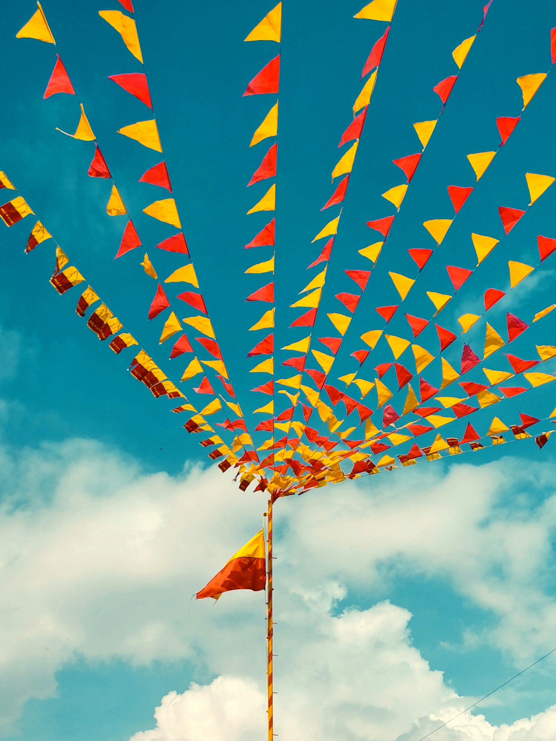 a bunch of kites are flying in the sky