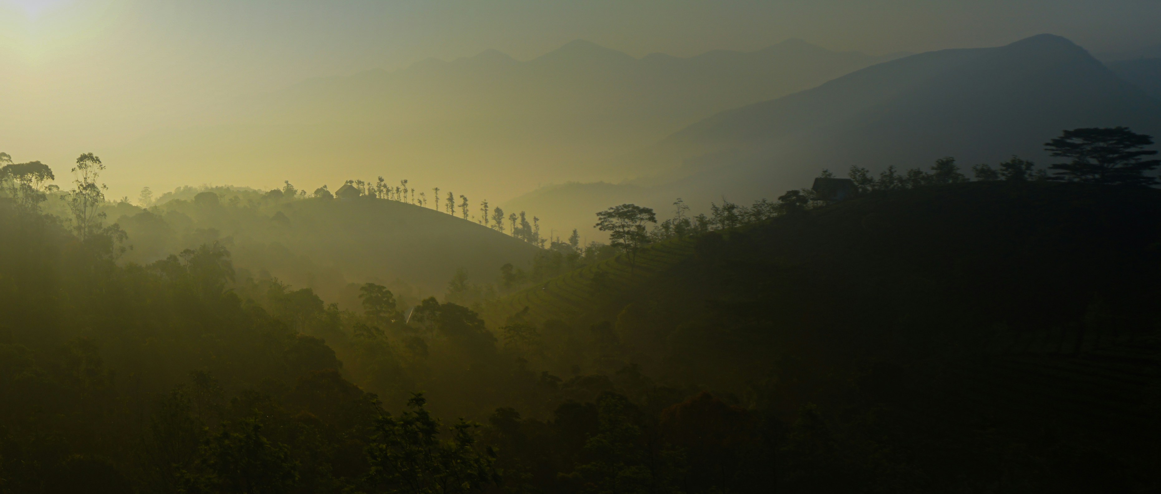 Photo by alwinjohn21